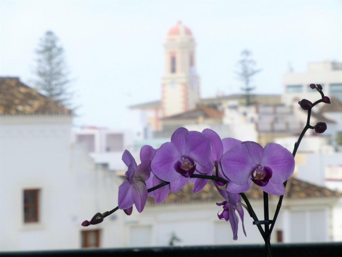 Apartamento Centrico Y Luminoso Estepona Buitenkant foto