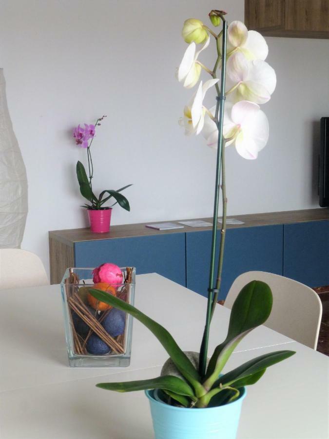 Apartamento Centrico Y Luminoso Estepona Buitenkant foto